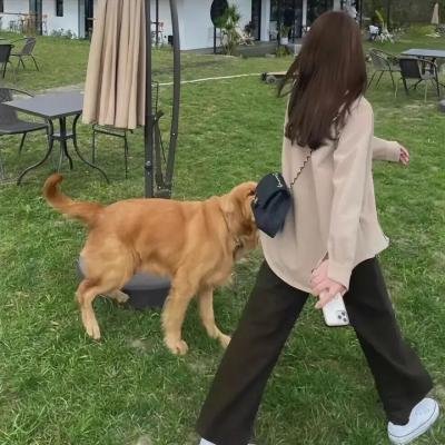 那孩子出生了……